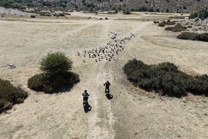 Moto Adventure Crete - Single & Multi Day Tours - On & Off Road - Entering The Day: Stalida Meet-Up, Paperwork, Bike Familiarity