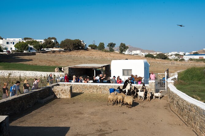 Mykonian Farm Experience - Key details before you book