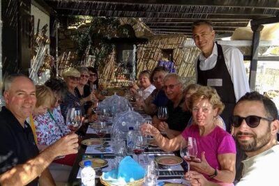 Mykonian Farm Experience - Three Greek wines over 60 to 90 minutes