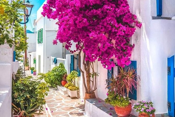 Mykonian Mosaic: First-Time Cruiser's Adventure - Ano Mera and the quieter side of Mykonos