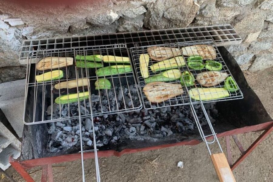 Mykonos: Barbecue at a Mykonian Farm - The farm tour: pigs, sheep, goats, rabbits, chickens, and donkey Konstantis
