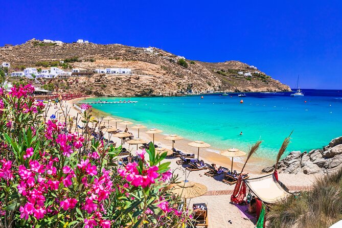 Mykonos Coastal Delights: A Cruise Passenger's Dream Day - Key Points at a Glance