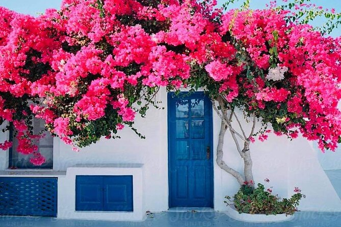 Mykonos Coastal Delights: A Cruise Passenger's Dream Day - Ano Mera and the Panagia Tourliani Monastery