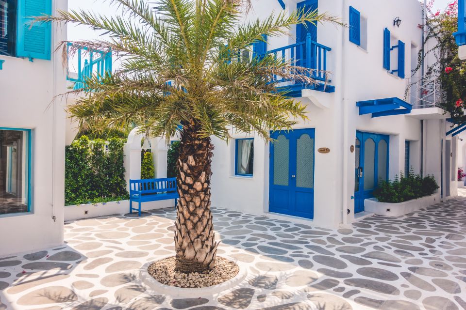 Mykonos Delight: A Perfect Day Trip from Your Cruise Ship - A guide can make the difference