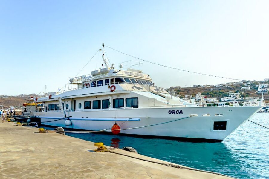 Mykonos: Delos Boat Transfer with Cell Phone Audioguide - Who should book this Delos day and who should skip