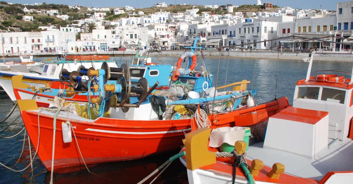 Mykonos: Half-Day City Walking Tour and Island Bus Tour - Key points to know before booking