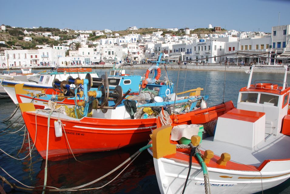 Mykonos: Half-Day City Walking Tour and Island Bus Tour - Guide quality can shape the whole experience