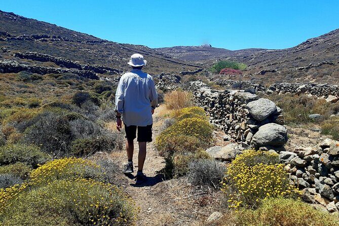 Mykonos Half-Day Hiking Adventure - Price and Value: What $96.02 Buys You