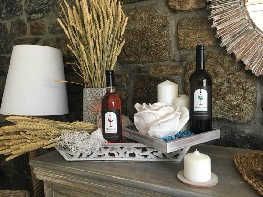Mykonos: Half-Day Wine Tasting and Snack at a Local House - Greek wine without leaving Mykonos