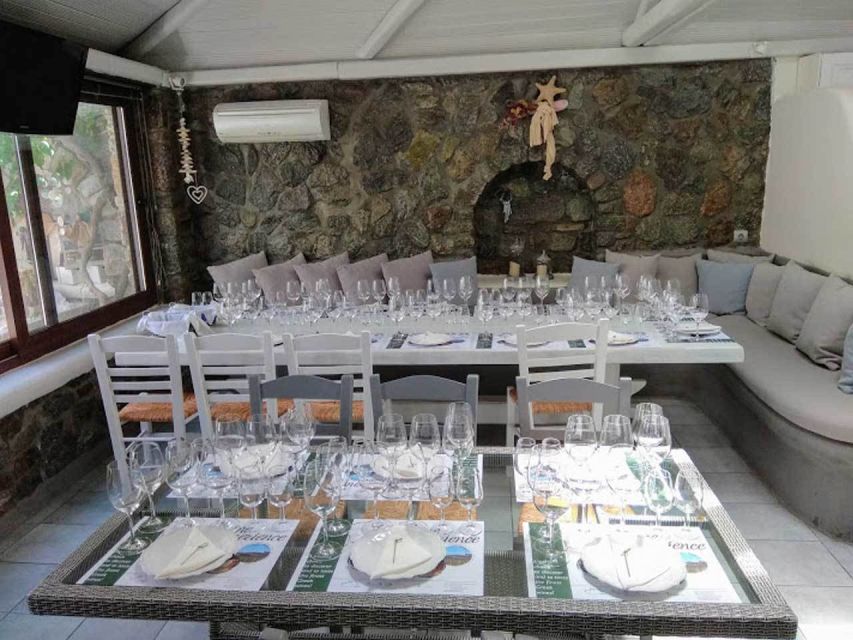 Mykonos: Half-Day Wine Tasting and Snack at a Local House - Arriving at Mykonian Spiti