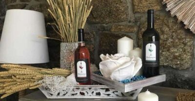 Mykonos: Half-Day Wine Tasting and Snack at a Local House - A traditional home instead of a tasting room