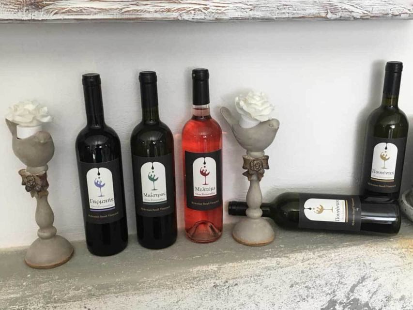 Mykonos: Half-Day Wine Tasting and Snack at a Local House - Is $203 a fair price?
