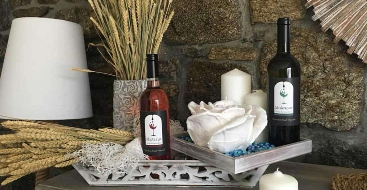 Mykonos: Half-Day Wine Tasting and Snack at a Local House - A traditional home instead of a tasting room