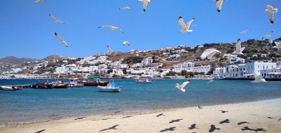 Mykonos: Highlights Tour with Panagia Tourliani Monastery - The Panoramic Finale Over Mykonos Town (And Why the Timing Helps)