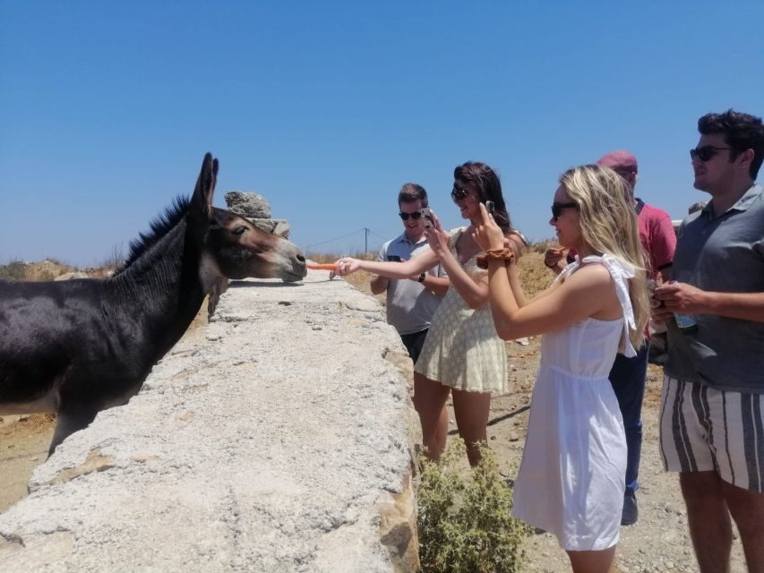 Mykonos: Highlights Tour with Panagia Tourliani Monastery - Windmills, Little Venice, and Paraportiani: the Stops That Define Mykonos
