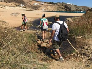 Mykonos Hiking Adventure - From Pickup to the Traditional Farm in Ano Mera