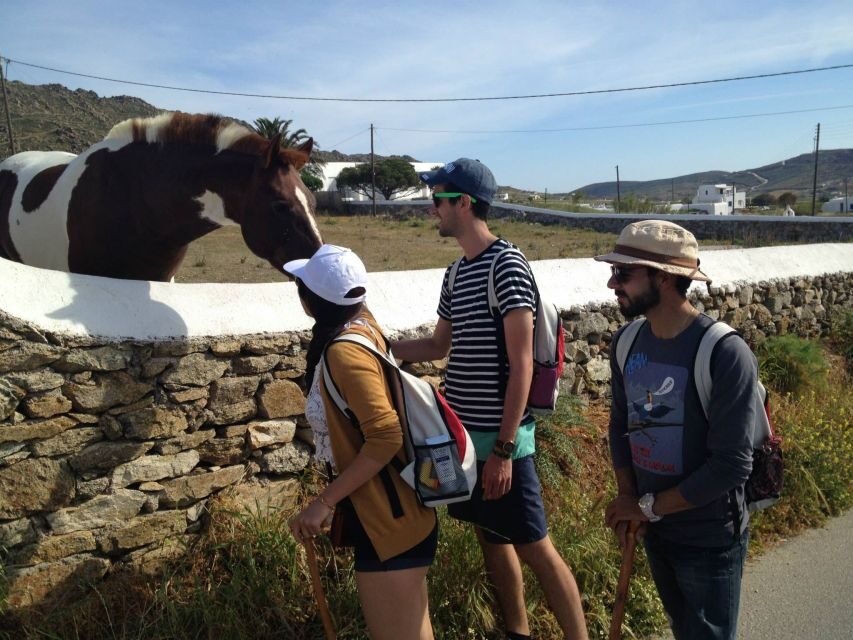 Mykonos Hiking Adventure - Mirsinis Beach: The Quiet Payoff You’re Really Walking For