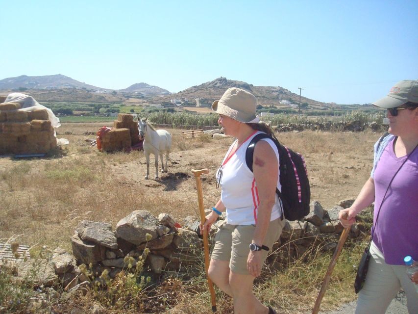 Mykonos Hiking Adventure - What You See Along the Way (And Why It’s Worth It)