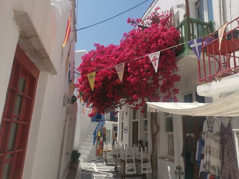 Mykonos: Private Tour with Range Rover - Monastiri and Tourliani Monastery: the quieter Mykonos side