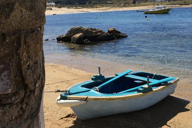 Mykonos Safari Island Tour - According To The Locals - Ftelia, wind, and a private church