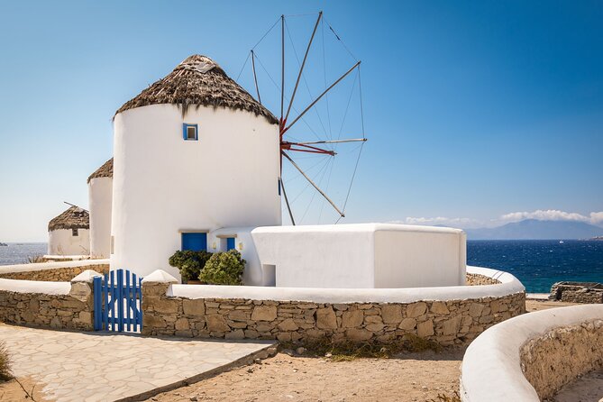Mykonos Shore Excursion: Elia Beach & Town Exploration - Is $34.39 a good price?