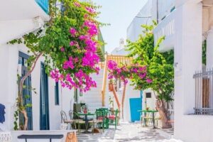 Mykonos tour: Private highlights Tour with a Local - The Coastal Trio: Agios Ioannis, Ákra Alogómandra, and Choulakia