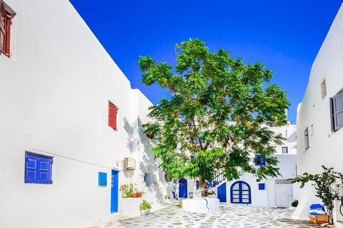 Mykonos Town and Island Half-Day Tour - Panagia Tourliani monastery: brief, meaningful, and tightly timed