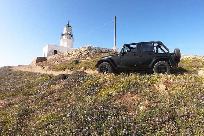 Mykonos Wild Experience Tour - Stop 2: Ftelia Beach area for prehistoric roots and Aegean panoramas