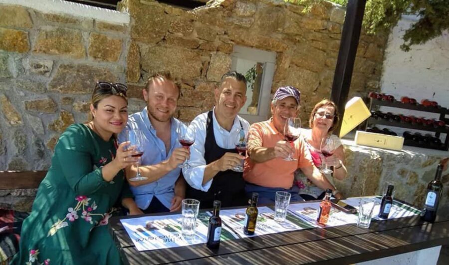 Mykonos: Wine Tasting at a Mykonian Farm - How the Hora–Ano Mera drive turns wine tasting into an island story