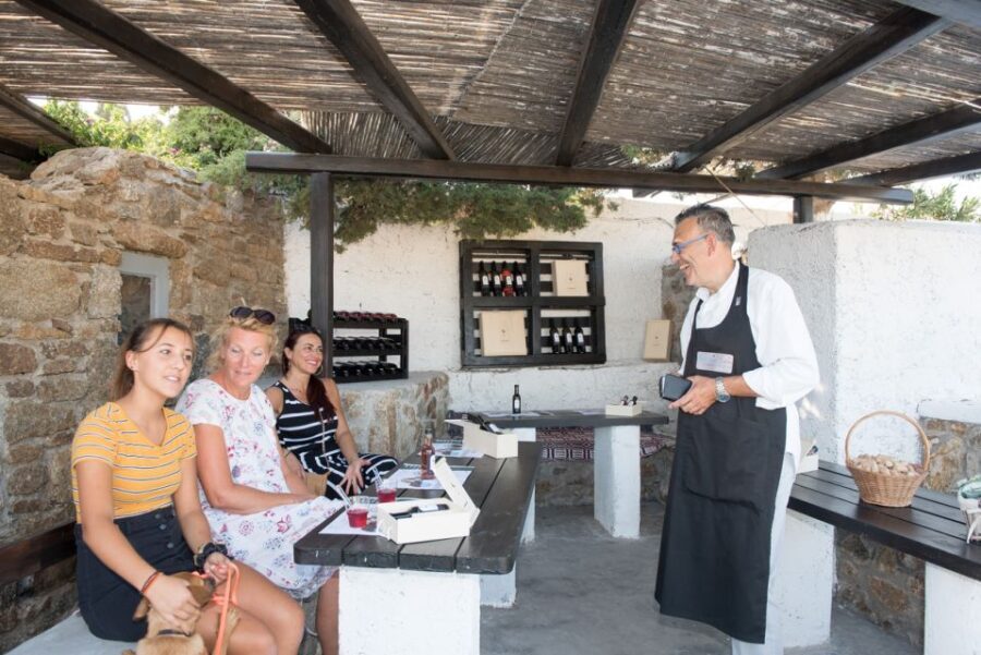 Mykonos: Wine Tasting at a Mykonian Farm - Four pours, one lesson plan: how the tasting stages teach you to taste better