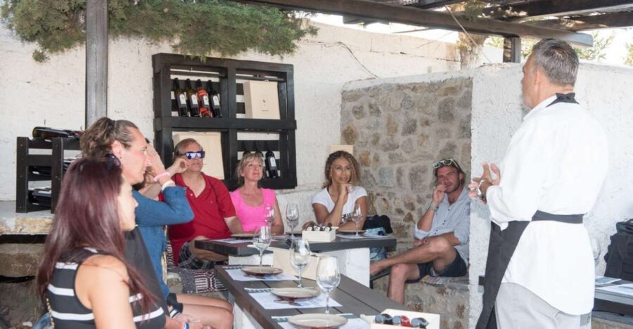 Mykonos: Wine Tasting at a Mykonian Farm - Timing: the 12:00 versus 18:00 choice
