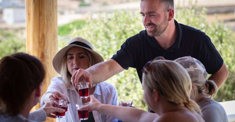 Mykonos: Winery Vineyard Experience with Food & Wine Tasting - Key Things You’ll Notice on This Mykonos Wine Experience
