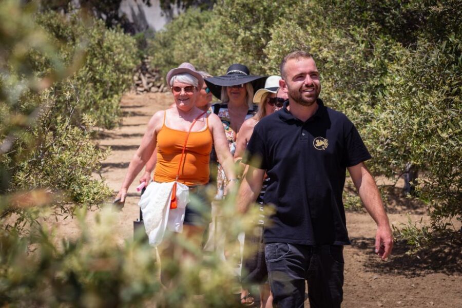 Mykonos: Winery Vineyard Experience with Food & Wine Tasting - Who This Tour Is Best For (and Who Might Prefer Something Else)