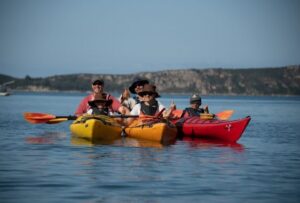 Navarino Bay: Sea Kayaking with Lunch - Gear, Skills, and Safety: What You’re Really Getting