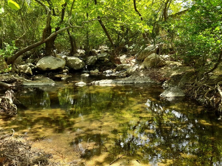 Naxos: A Riverbank Adventure (Kinidaros - Eggares villages) - Transportation and small-group feel: how it makes the day easier