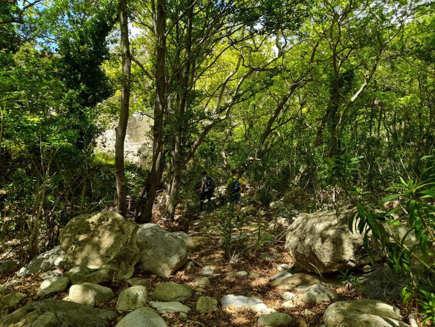 Naxos: A Riverbank Adventure (Kinidaros - Eggares villages) - The Mill of Hadji: your cool riverbank transition