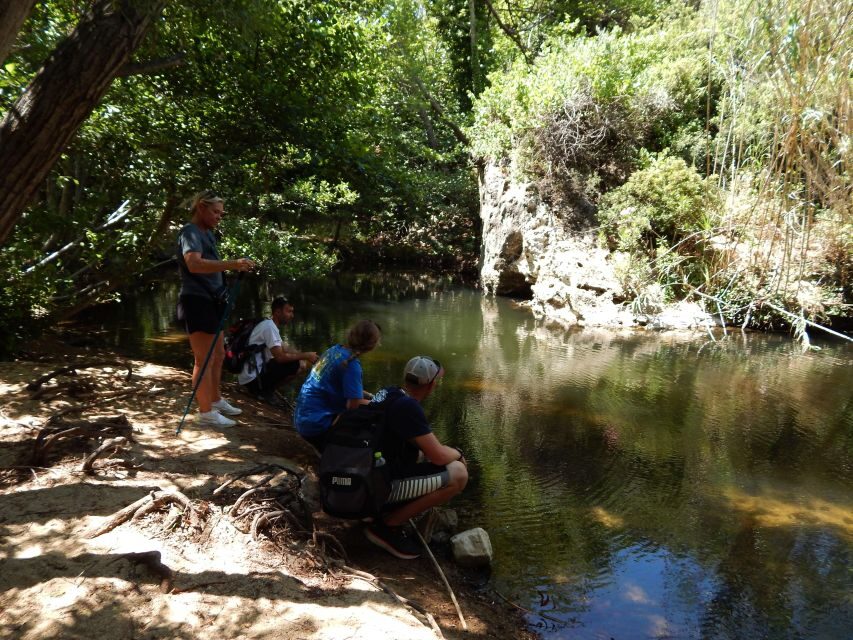 Naxos: A Riverbank Adventure (Kinidaros - Eggares villages) - Eggares: quiet farming village energy