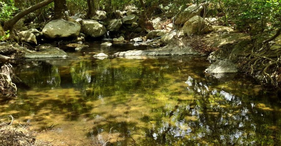 Naxos: A Riverbank Adventure (Kinidaros - Eggares villages) - What to pack (and the water rule that saves you)