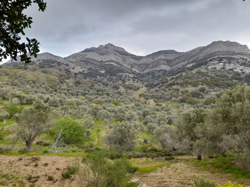 Naxos: Countryside hike among villages & Byzantine churches - Starting in Halki, the right kind of Naxos village