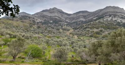 Naxos: Countryside hike among villages & Byzantine churches - Following old paths through Tragea Valley