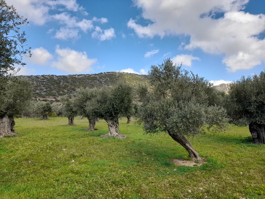Naxos: Countryside hike among villages & Byzantine churches - Kaloxylos folklore museum and a step back in time