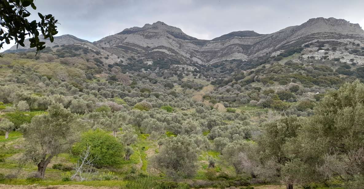 Naxos: Countryside hike among villages & Byzantine churches - Following old paths through Tragea Valley