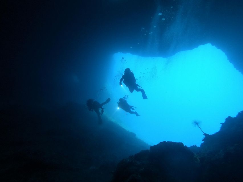 Naxos: Discover Scuba Dive with Nima Dive Center - Key points to know before you book