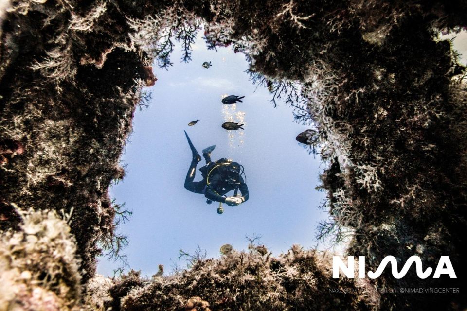 Naxos: Discover Scuba Dive with Nima Dive Center - Why this makes sense for a first scuba attempt