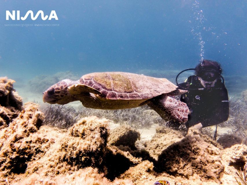 Naxos: Discover Scuba Dive with Nima Dive Center - The optional second session from Naxos