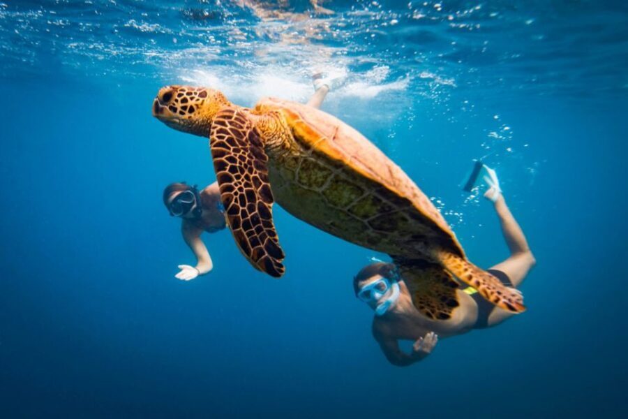 Naxos: Discover Scuba Diving on Agios Georgios Beach - Agios Georgios beach: a practical first stop in Naxos