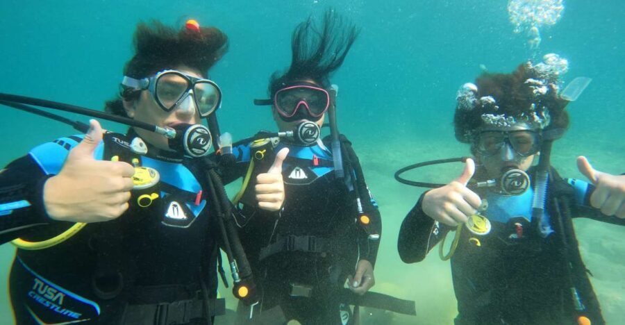 Naxos: Discover Scuba Diving on Agios Georgios Beach - What you’ll see at 6 meters: the marine life angle (with real expectations)