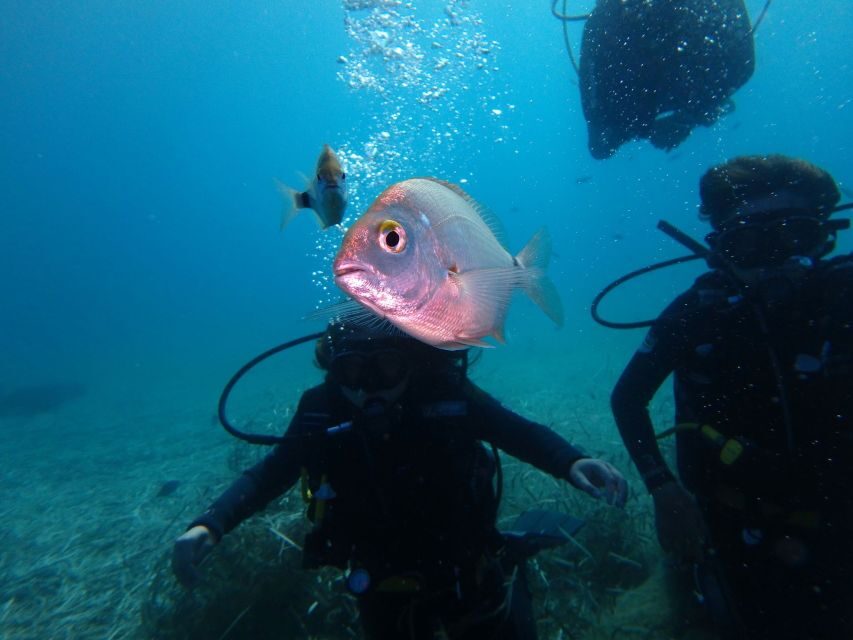 Naxos: Discover Scuba Diving - Your first experience diving - Key Things That Make This Naxos First-Time Scuba Experience Worth It