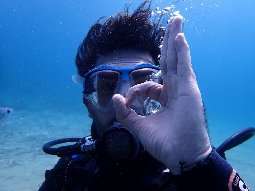 Naxos: Discover Scuba Diving - Your first experience diving - Agios Prokopios House Reef Wildlife: Octopus, Fish, and Sea Turtles