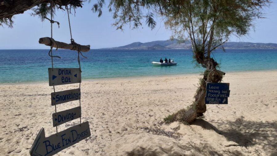 Naxos: Discover Scuba Diving - Your first experience diving - Wind, Currents, and Visibility: Why This Site Works for Beginners